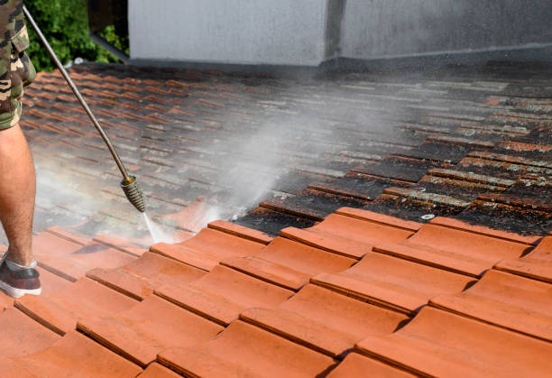 Best Garage Pressure Washing  in Maysville, NC