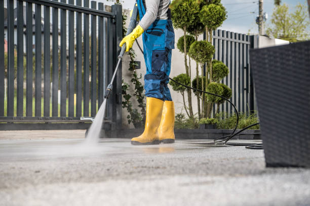 Best Roof Power Washing Services  in Maysville, NC