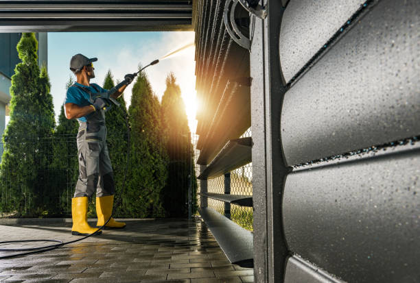 Best Deck Cleaning Services  in Maysville, NC