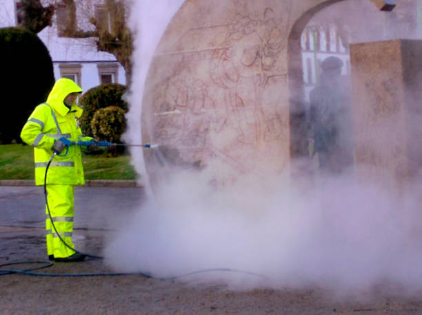 Best Exterior Home Cleaning  in Maysville, NC