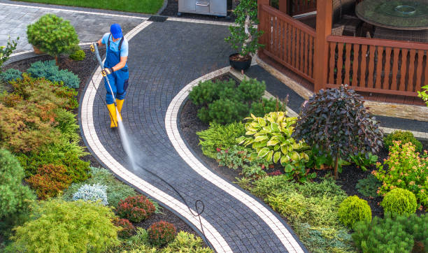 Best Affordable Pressure Washing  in Maysville, NC